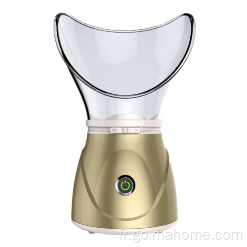 Vaporisateur facial Nano Ionic Hot Mist Humidifier Atomizer